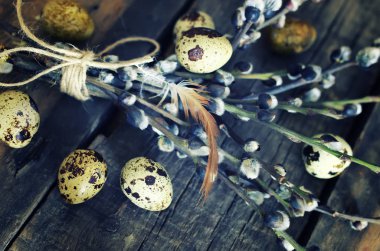 yumurta dal willow ahşap arka plan