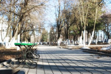 Bahar parkında tezgah