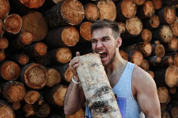 Barbudo persona cerca de madera pila —  Fotos de Stock