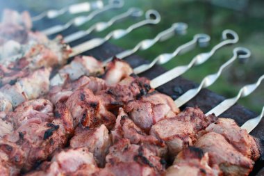 Doğada barbekü yapmak.