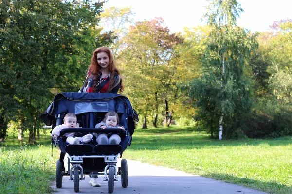 Vrouwen wandelen wandelwagen zomer — Stockfoto