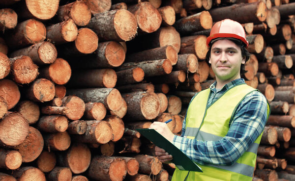 Worker in helmet counts wood lumber