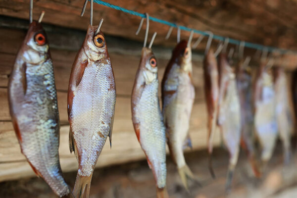 fish drying on rope