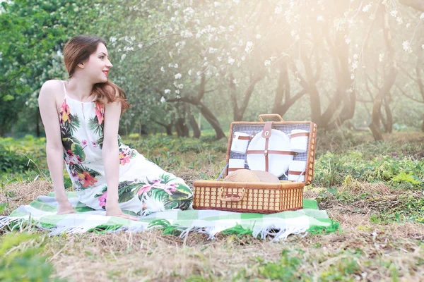 Дівчина на пікніку в яблучному саду з кошиком продуктів — стокове фото