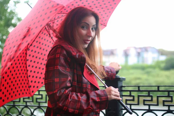 街路樹に赤い傘を持つ女性 — ストック写真