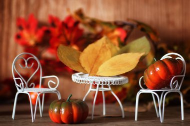 sandalye üzerinde iç ahşap odada taze kabak