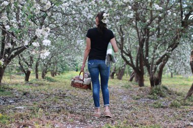 bir bahar elma Çiçek bahçesinde kız