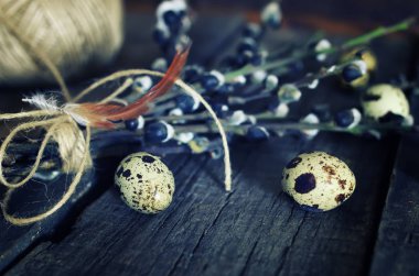 yumurta dal willow ahşap arka plan