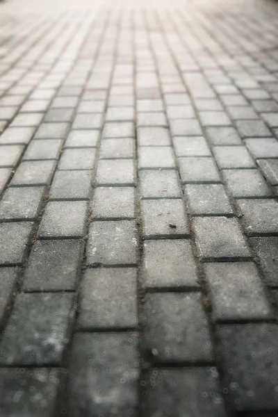Gray paving stone path goes away the prospect in sunset — Stock Photo, Image
