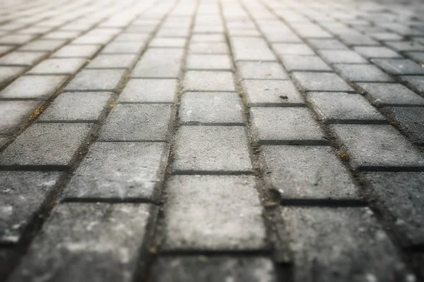 Gray paving stone path goes away the prospect in sunset — Stock Photo, Image