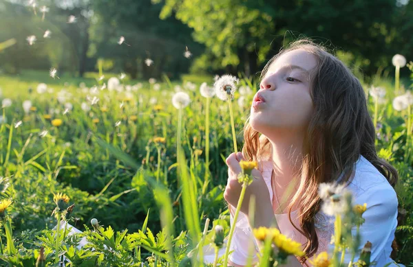 Semi di soffiaggio adolescenti da un fiore di dente di leone in un parco di primavera — Foto Stock