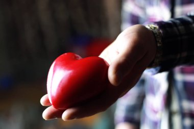 Erkek el valentine kalp hediye