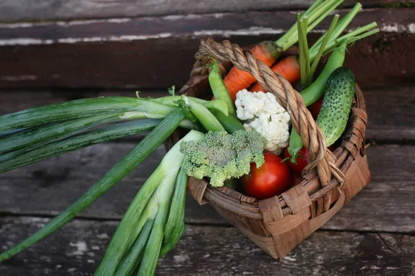 sebze sepeti harvest yılında