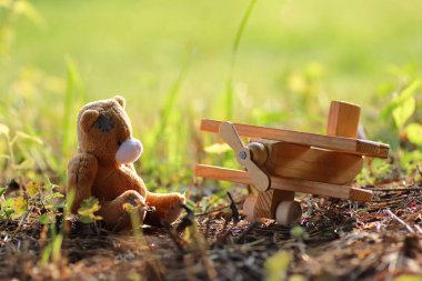 yerde yalnız oyuncak