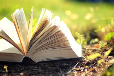 Çimenlerin üzerinde çiçek ile açık kitap