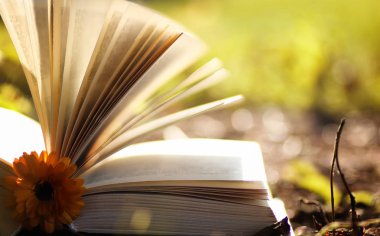 Sarı sonbahar açık kitap