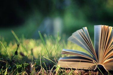 Çimenlerin üzerinde çiçek ile açık kitap