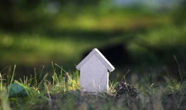 çimenlerin üzerinde evin düzeni