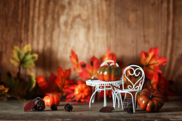 sandalye üzerinde iç ahşap odada taze kabak