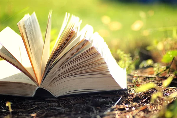 Çimenlerin üzerinde çiçek ile açık kitap