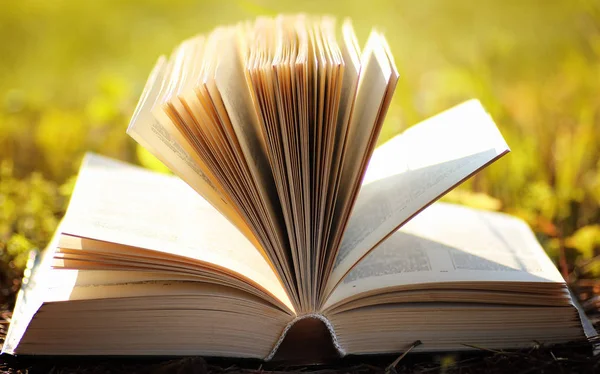 Sarı sonbahar açık kitap