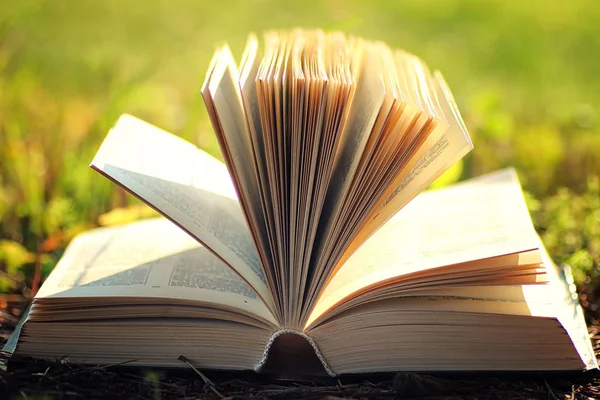 Çimenlerin üzerinde çiçek ile açık kitap