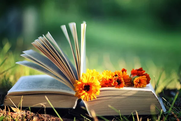 Çimenlerin üzerinde çiçek ile açık kitap