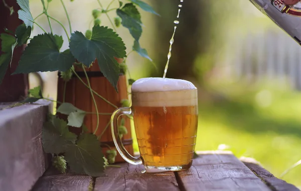 Glas Bier hölzerner Hopfen Natur — Stockfoto