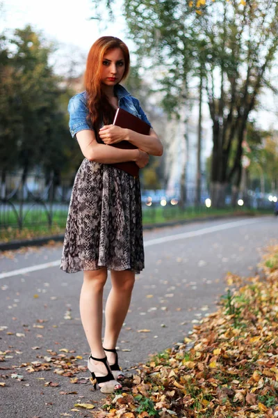 bir park güneşli günde açık Kızıl saçlı kız