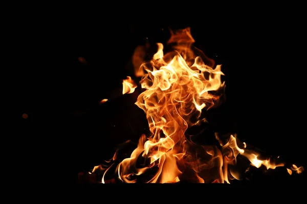 Языки пламени огня оранжево-желтого цвета из горящей ели — стоковое фото
