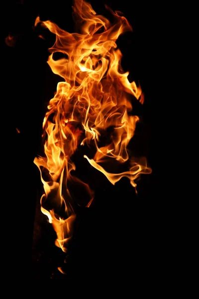 Tongen van vlam van vuur van de oranje-gele kleur van het verbranden van Spar — Stockfoto