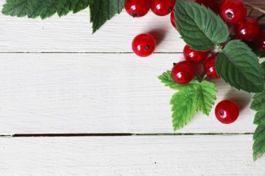 Frenk üzümü berry arka plan