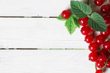 Frenk üzümü berry arka plan