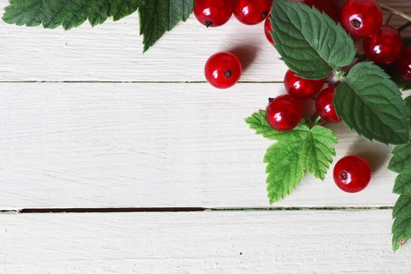 Frenk üzümü berry arka plan