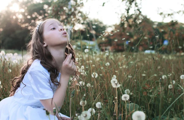 Dziewczyna dmuchanie nasiona dmuchawca kwiat jesienią — Zdjęcie stockowe