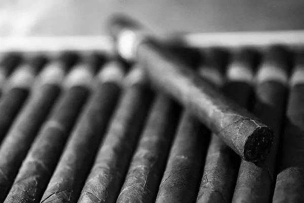 Monochrome photo of large wooden box of cigars handmade Cuban — Stock Photo, Image