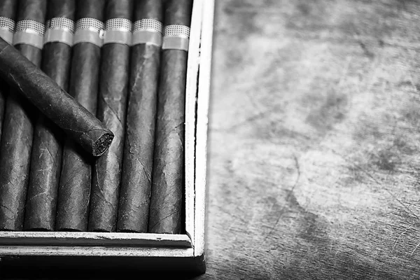 Monochrome photo of large wooden box of cigars handmade Cuban — Stock Photo, Image