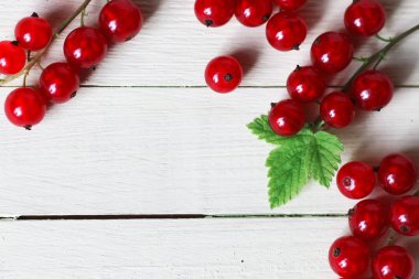 Frenk üzümü berry arka plan