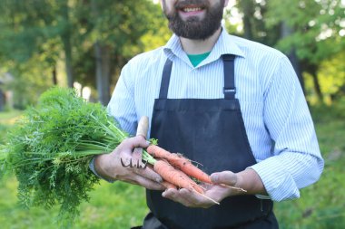 havuç hasat bir elinde tutan bahçıvan adam