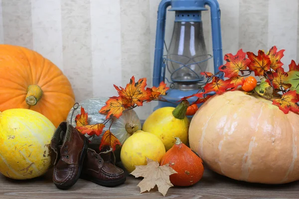 Pumpkin on the floor — Stock Photo, Image
