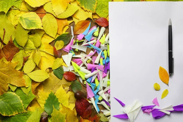 Jesienne liście tło z pusty papier — Zdjęcie stockowe