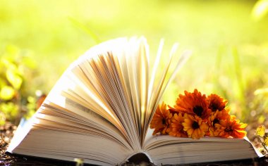 Sarı sonbahar açık kitap