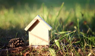 çimenlerin üzerinde evin düzeni