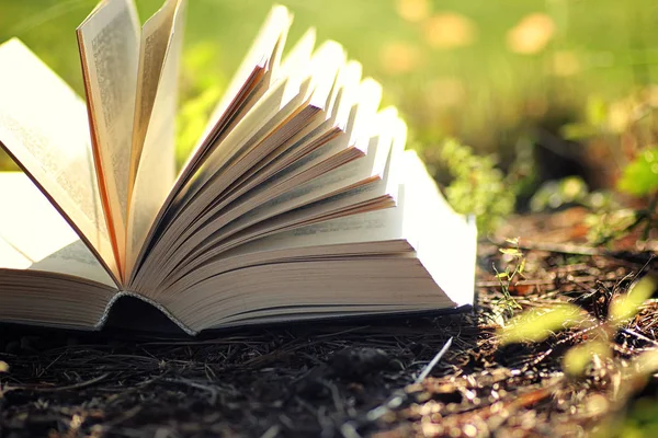 Çimenlerin üzerinde çiçek ile açık kitap