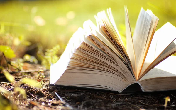 Sarı sonbahar açık kitap