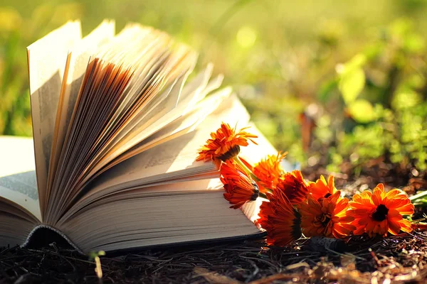 Çimenlerin üzerinde çiçek ile açık kitap