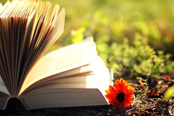 Open book with flower on grass — Stock Photo, Image