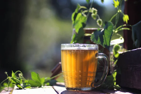 Bierglas Holzhopfen im Freien — Stockfoto