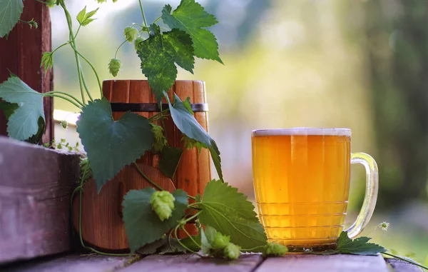 Glas öl trä hop natur — Stockfoto