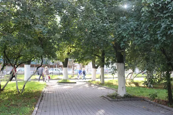 Słońce liść Park — Zdjęcie stockowe